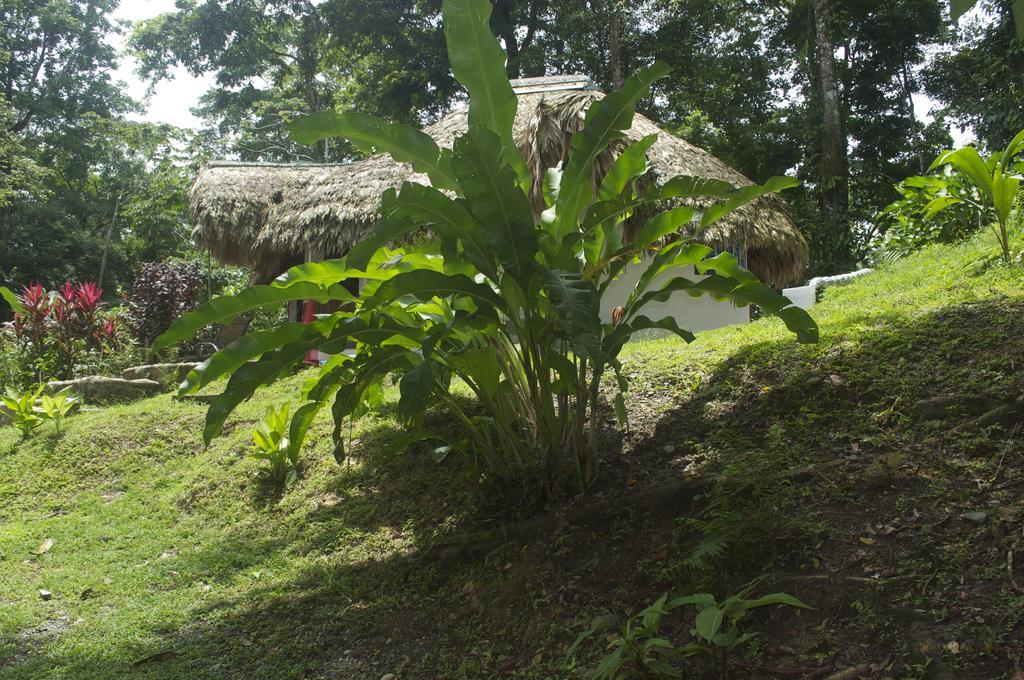 La Magia Bungalows Puerto Viejo de Talamanca Exterior photo